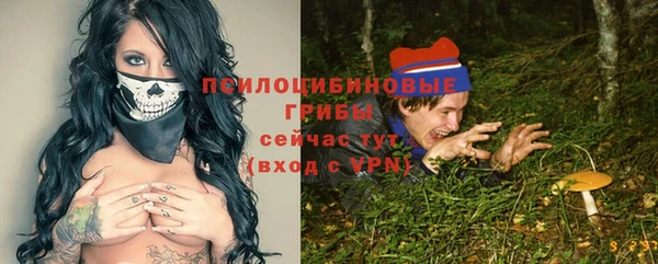 мяу мяу мука Корсаков